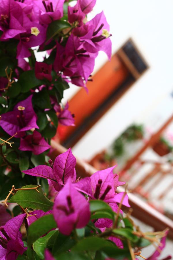 Amaru Hotel Huaraz المظهر الخارجي الصورة